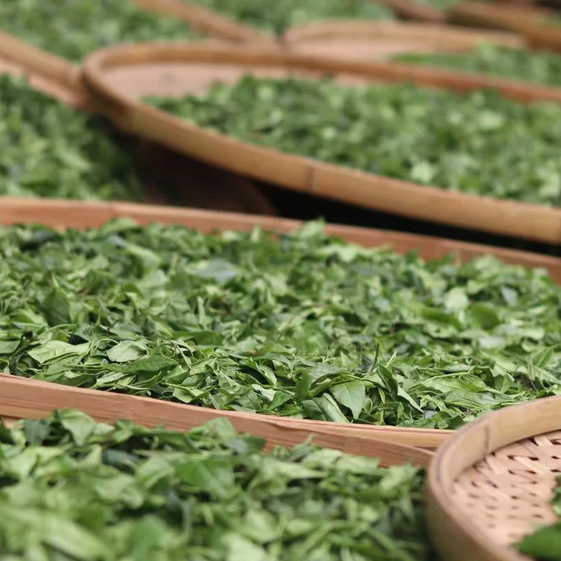 悟源涧肉桂三坑两涧核心山场