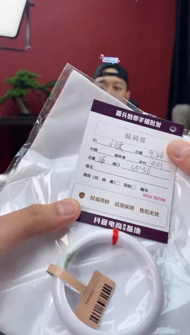 未镶嵌手镯翡翠小****02