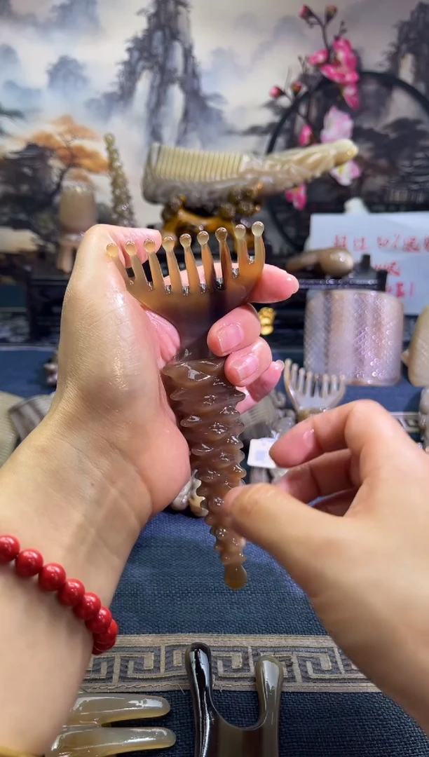 云南老白水高货海参耙子