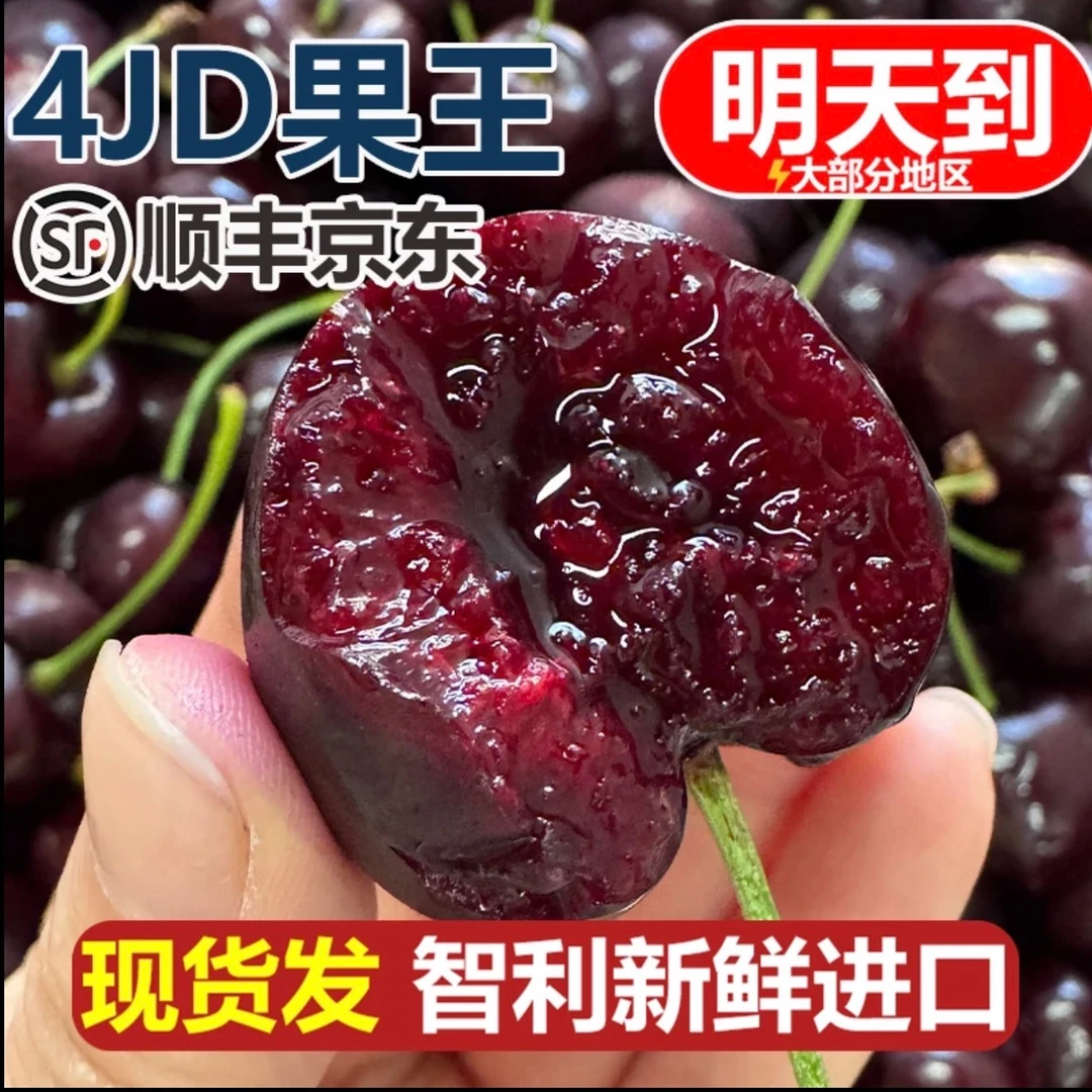【原箱5斤】智利海运进口桑提娜车厘子净果2500g 2JD智利车厘子桑提娜樱桃内附果径卡桑提娜樱桃智利共和国