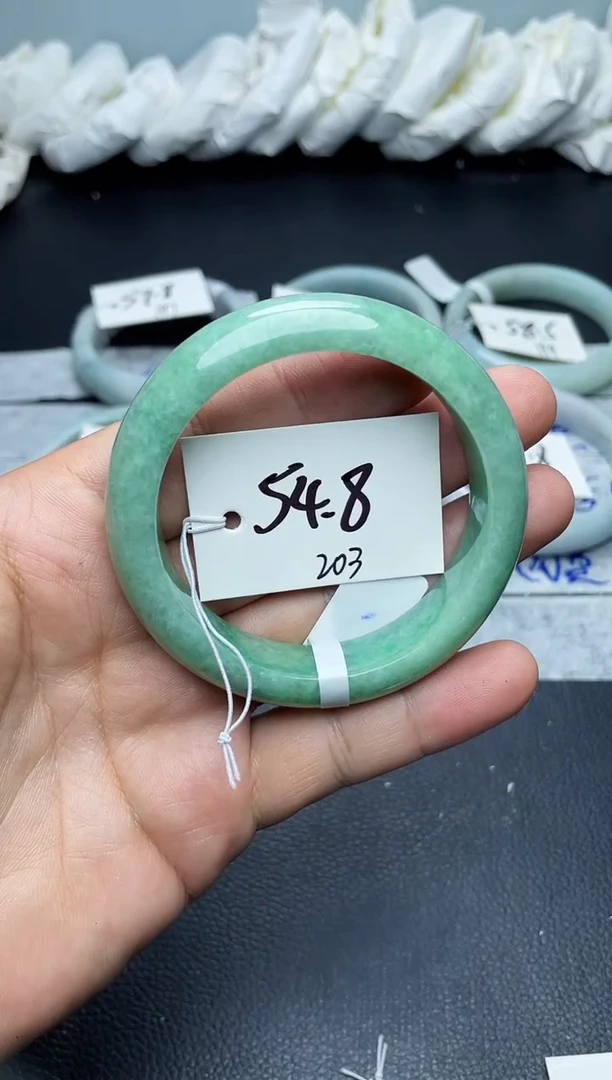 未镶嵌手镯翡翠203
