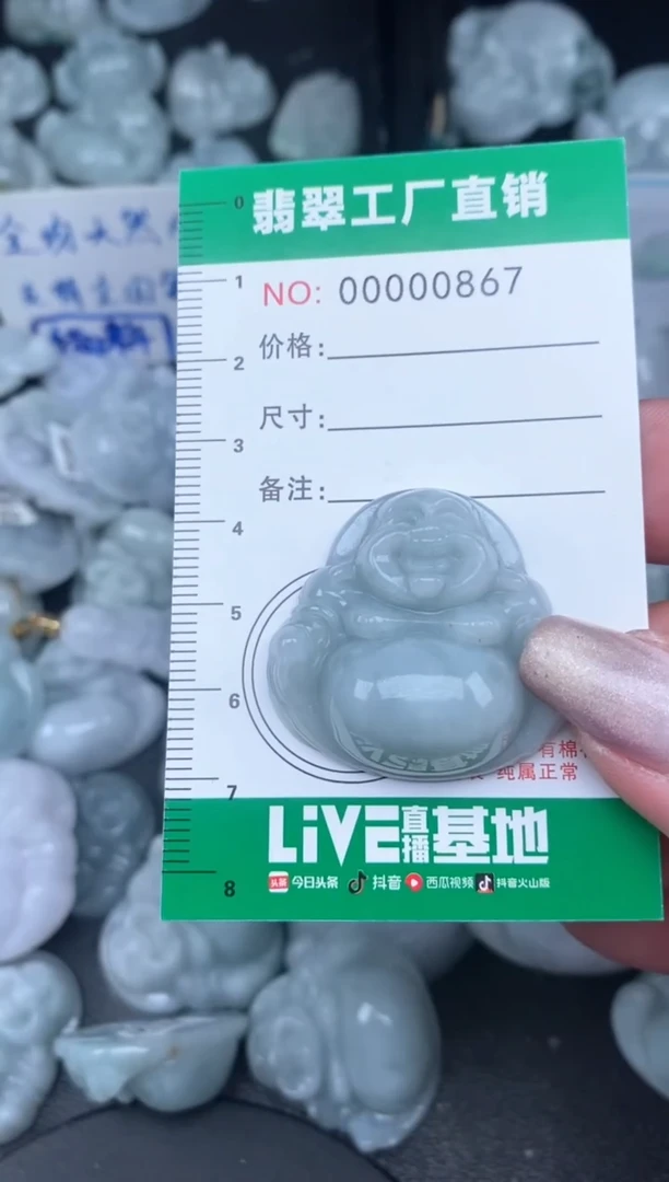 翡翠未镶嵌颈饰缅甸天然A货翡翠0867