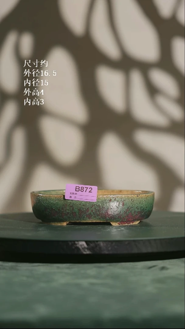 椭圆盆 872