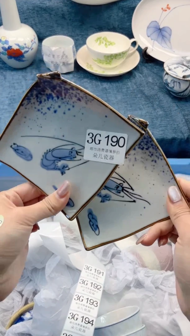 瓷片         3G190
