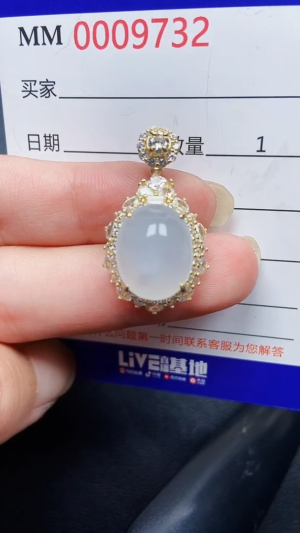 翡翠银S925镶嵌颈饰9732