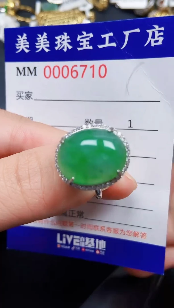 翡翠银S925镶嵌颈饰6710
