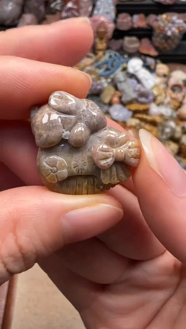 【闪购商品】硅化珊瑚（珊瑚玉）颈饰未镶嵌736