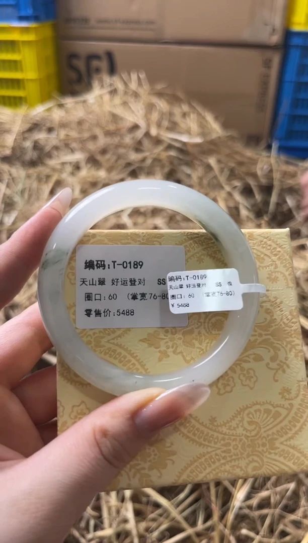 未镶嵌手镯石英质玉T-0189