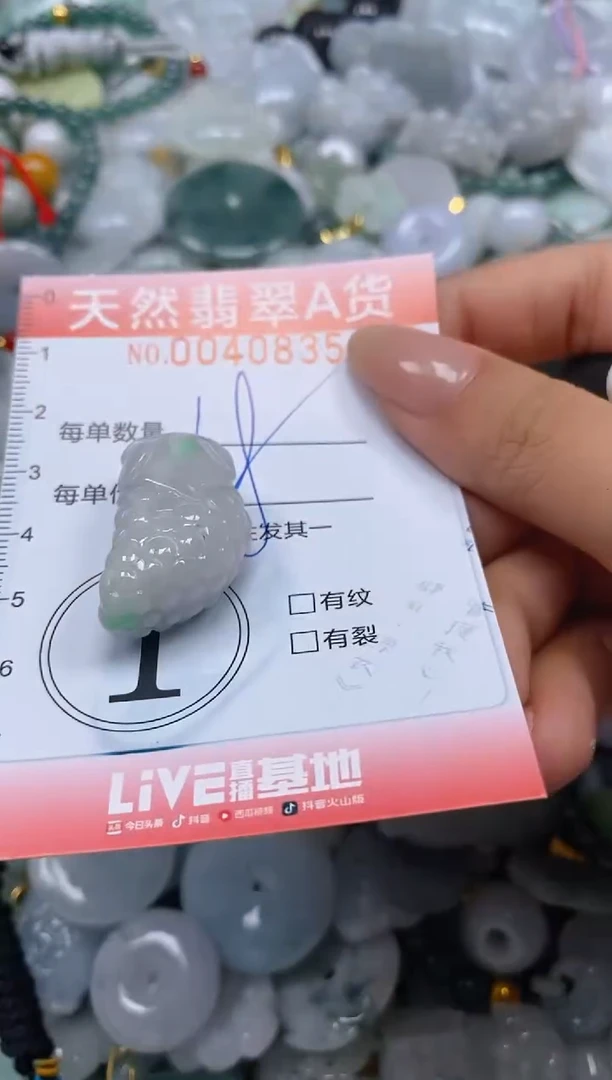 翡翠未镶嵌颈饰闪购0040835