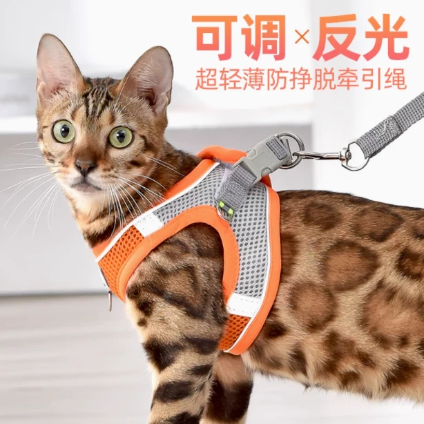猫咪可调节溜狗养狗必备防爆冲背带式小型宠物牵引绳遛狗伸缩大狗