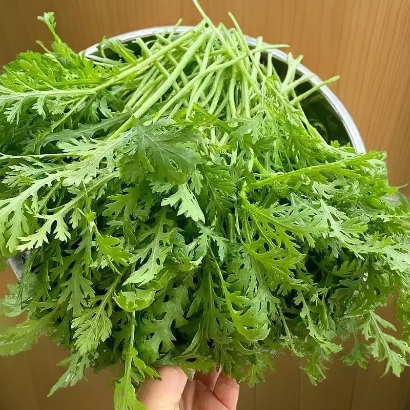 【蒿子梗➕菠菜】净重共3斤 北京本地菜