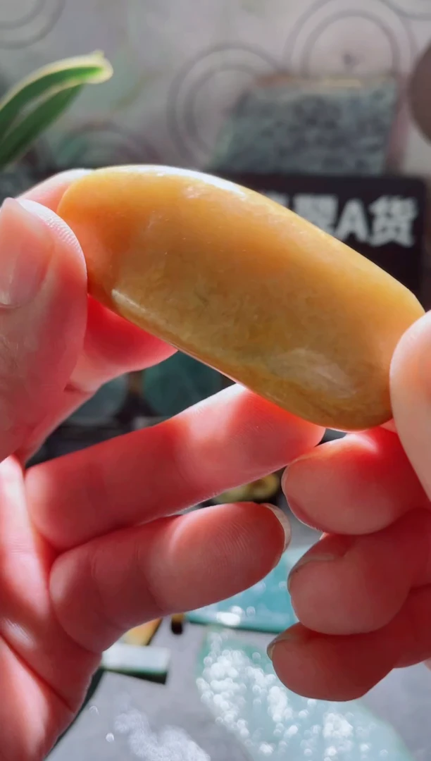 翡翠未镶嵌颈饰2946....
