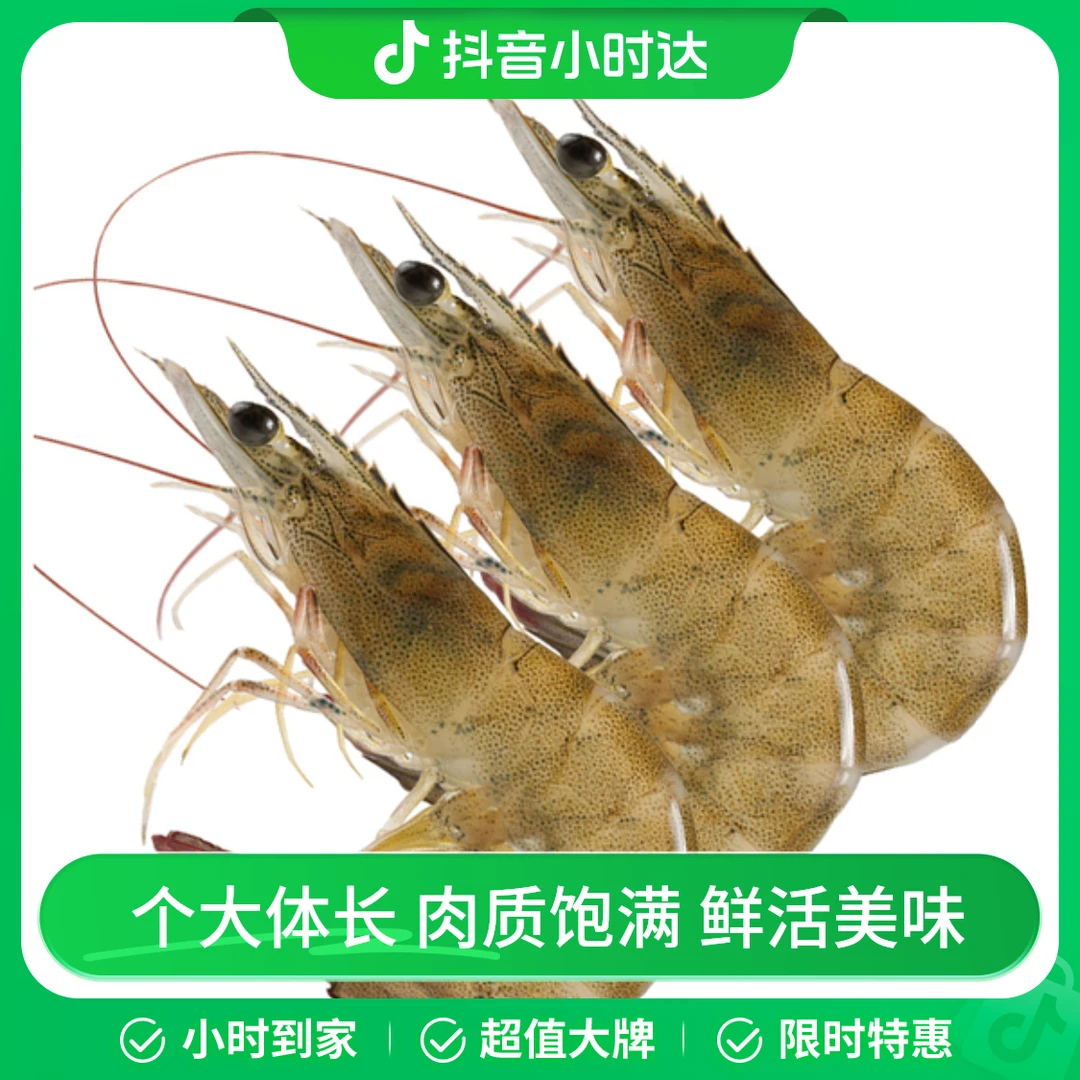 鲜活大明虾【渠道专享】 500g/份