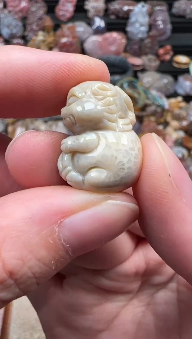 颈饰未镶嵌硅化珊瑚（珊瑚玉）538