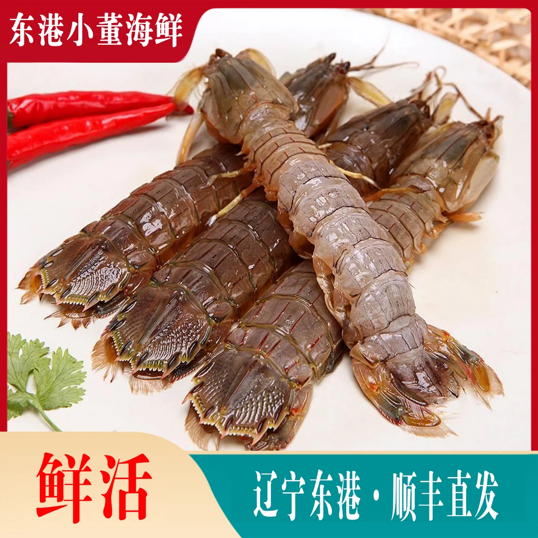 【东港虾爬子】东港当地虾爬子皮皮虾顺丰鲜活发货保鲜不保活