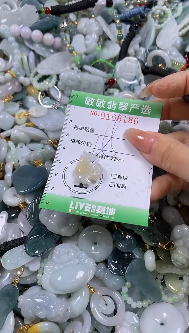 【闪购商品】翡翠颈饰未镶嵌闪购0108180