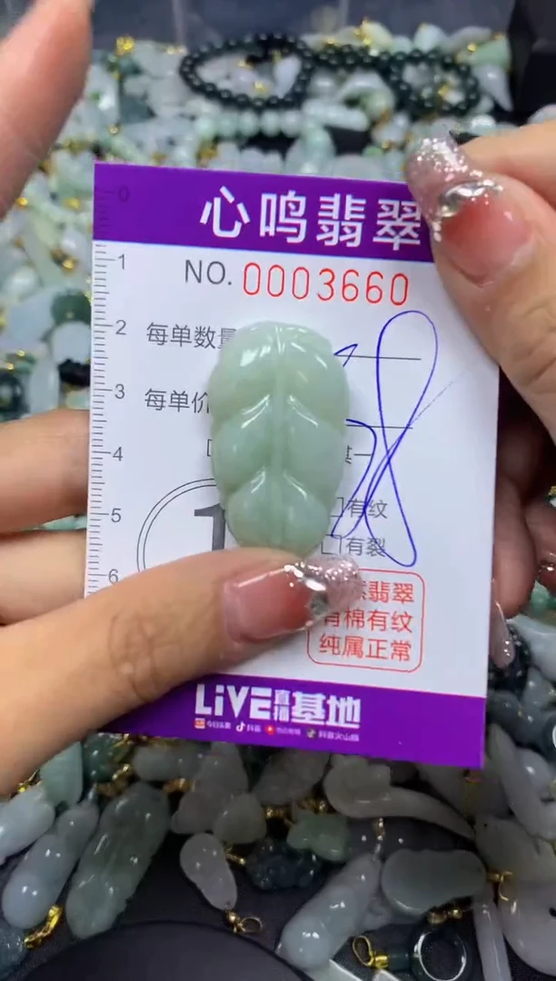 【闪购商品】翡翠颈饰未镶嵌闪购003660