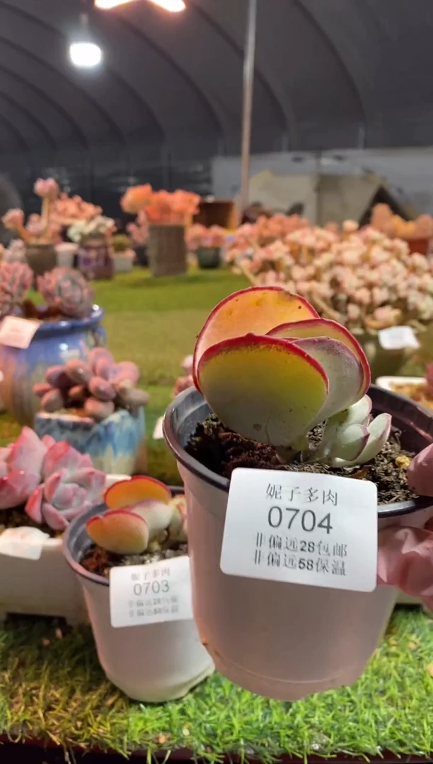 【闪购商品】0704a