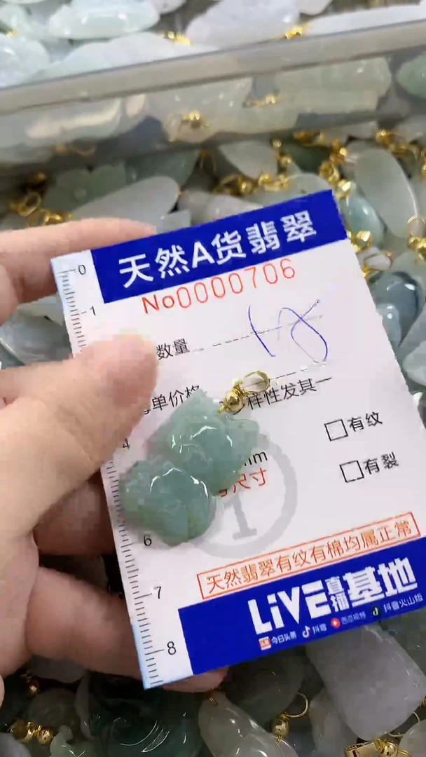 颈饰未镶嵌翡翠天然A货翡翠