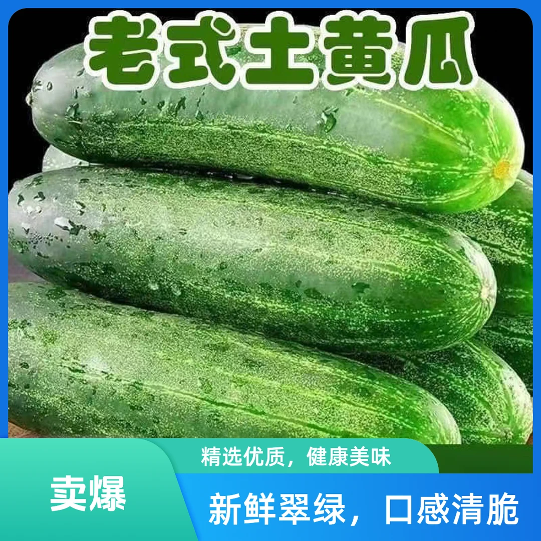 【顺丰次日达包邮】潮汕老式土黄瓜老品种黄瓜新鲜现摘现发旱黄瓜非水果黄瓜脆嫩3斤黄瓜