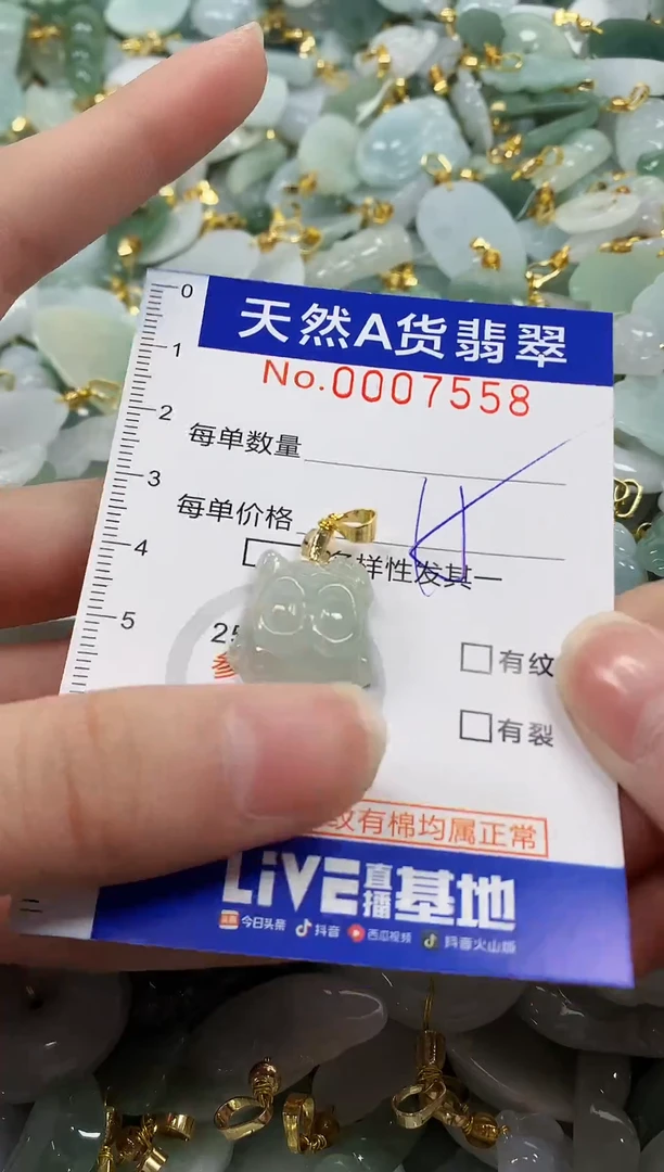 颈饰未镶嵌翡翠纯天然a货翡翠