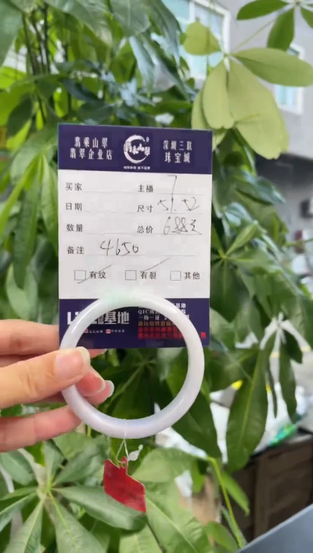 未镶嵌手镯翡翠Q 51正圈 4650
