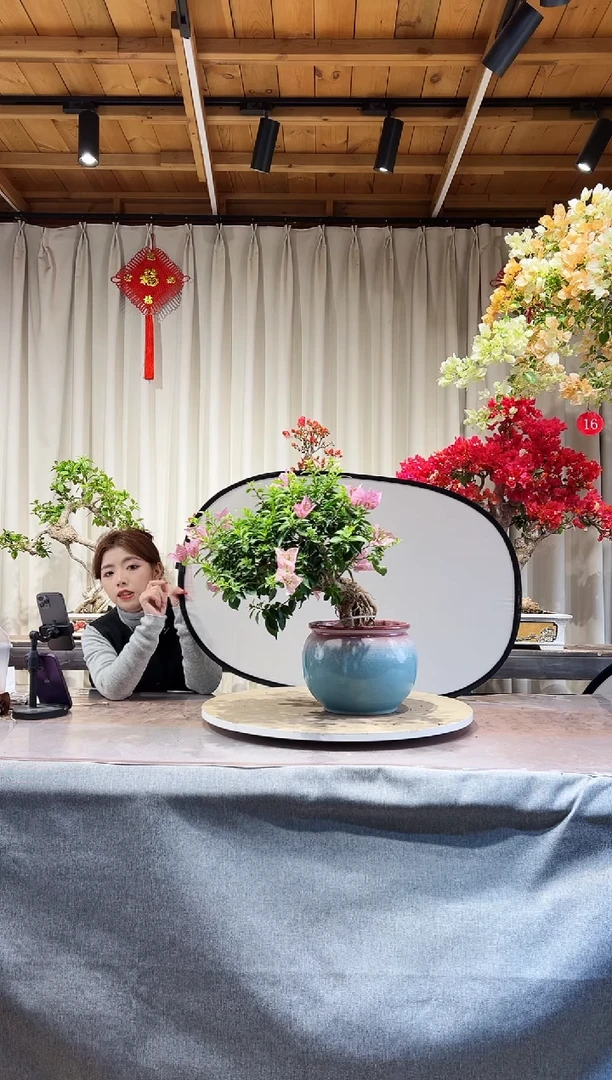 【闪购商品】盆景粉天使