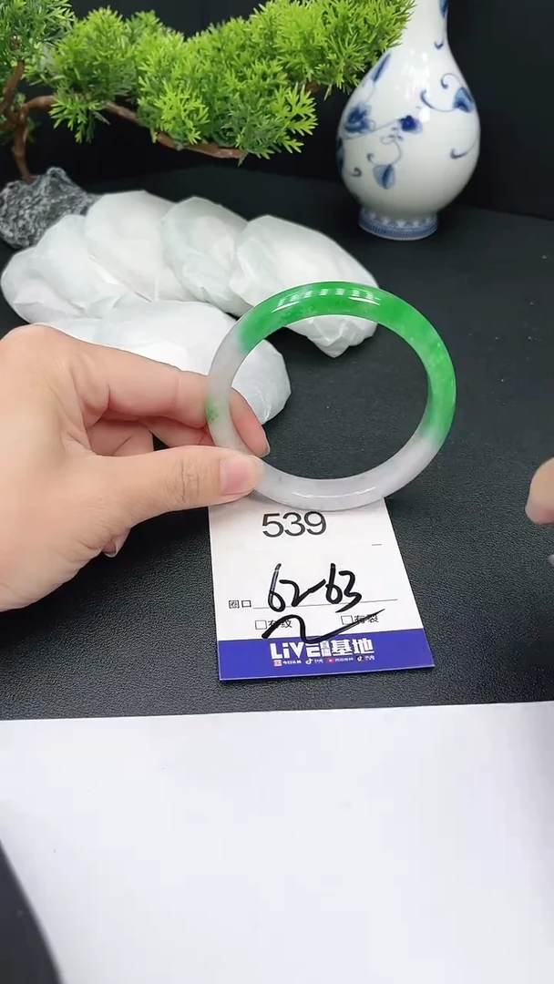 未镶嵌手镯翡翠539