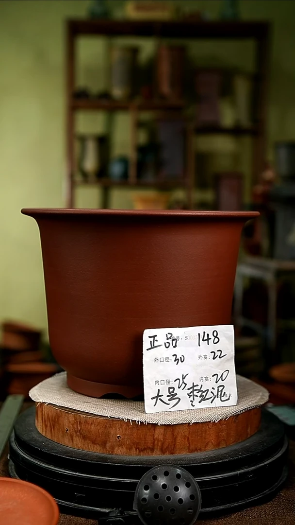 紫砂花盆花卉园艺148