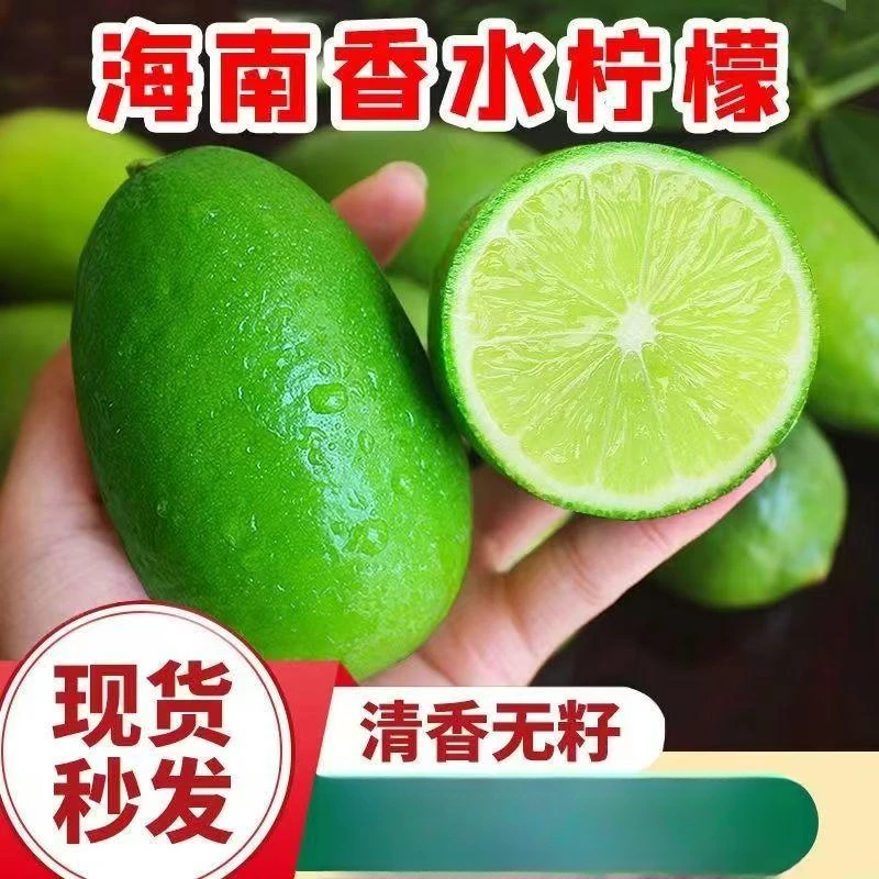 海南香水柠檬当季水果1-5斤装奶茶店专用网红手打柠檬茶夏日饮品
