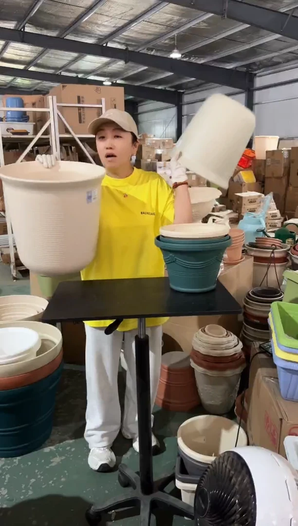 zen12号9号各一个