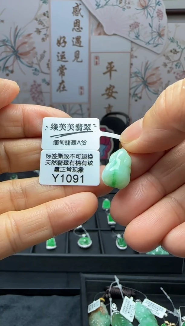 翡翠未镶嵌颈饰Y1091 福利不退换