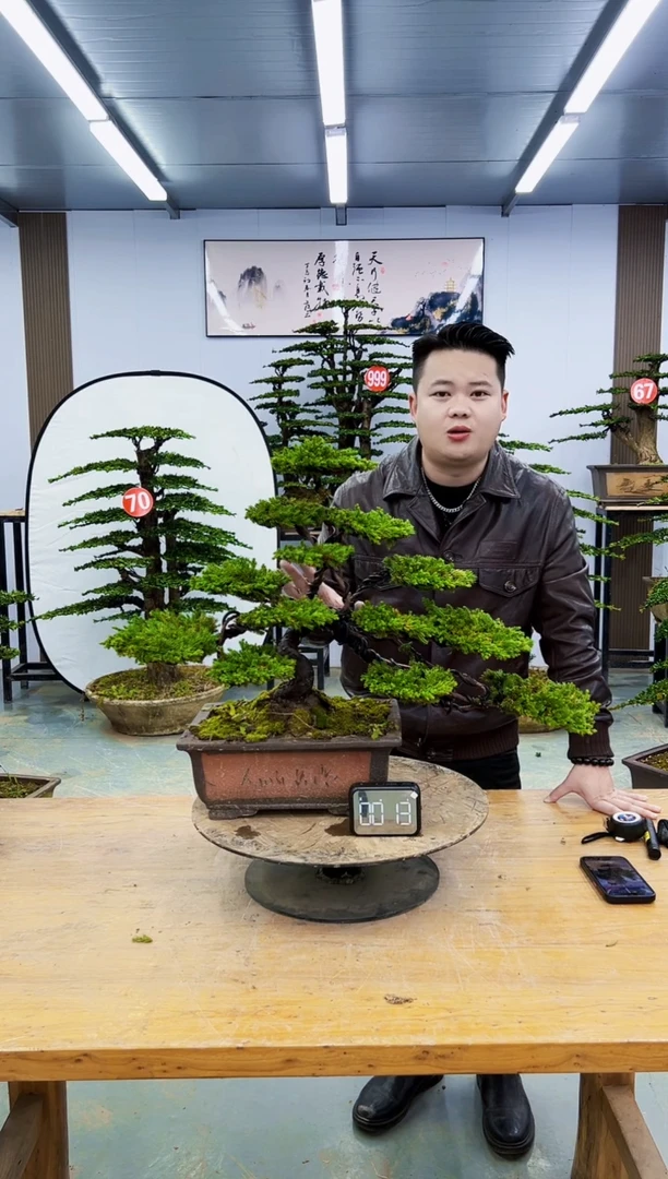 无花朵00000000000