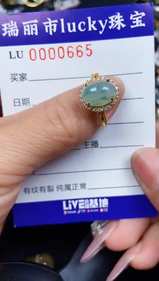 翡翠银S925镶嵌颈饰0665