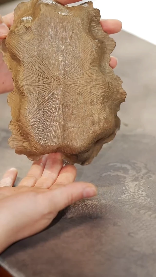 金丝楠139金丝楠阴沉木荷叶壶承