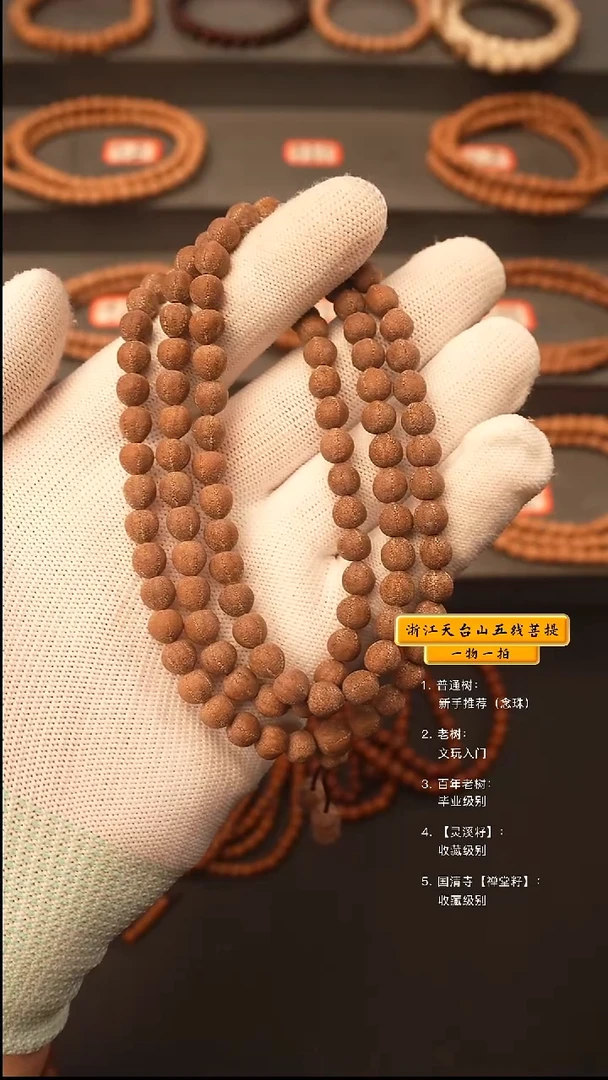 吊坠五线菩提威**晟脖挂