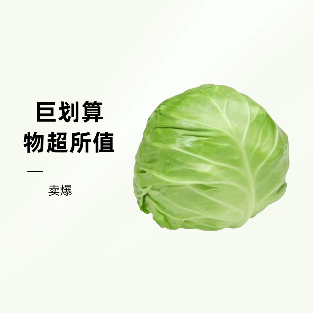 流星包菜 约1000g/份甘蓝