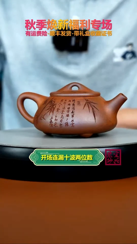 茶壶紫砂蒋静明天星泥松竹景舟石瓢300CC
