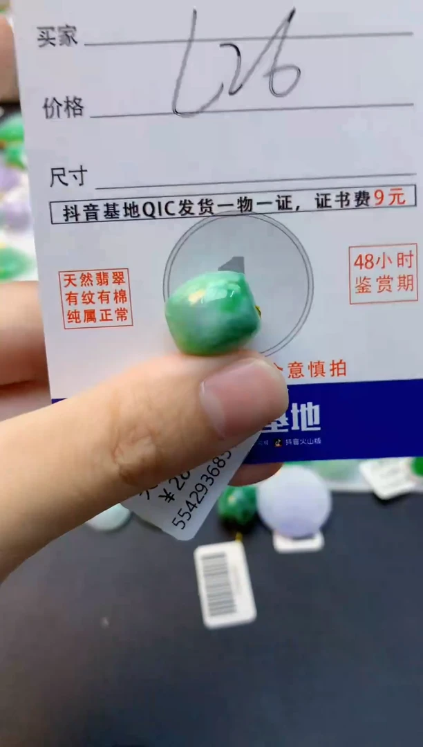 颈饰未镶嵌翡翠天然缅甸A货翡翠