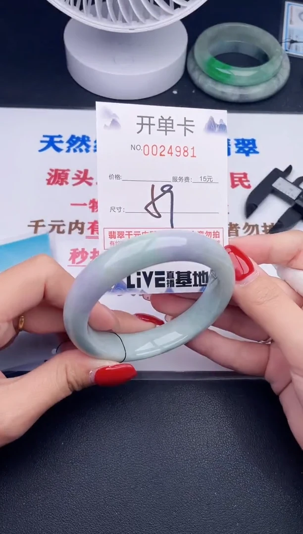 未镶嵌手镯翡翠81