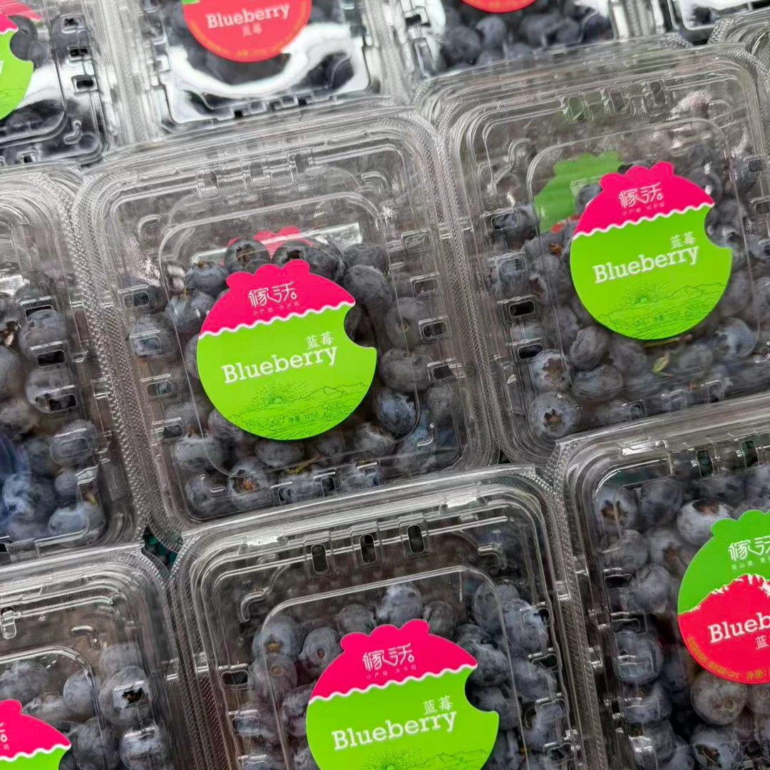 【配送到家】雪山恬稼沃蓝莓一盒125g云南省
