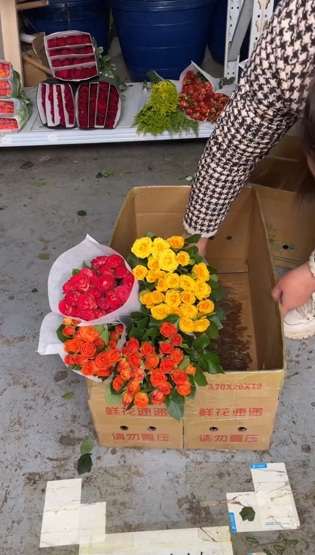 单头橙色芭比20枝2扎+单头梦幻20枝1扎+单头爱丽丝20枝1扎