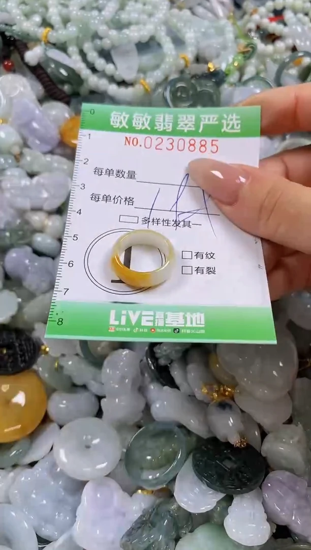 翡翠未镶嵌颈饰闪购0230885