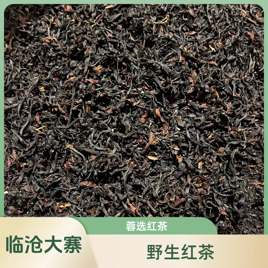 【蓉选】茶叶批发 2025临沧大寨 野生古树红茶