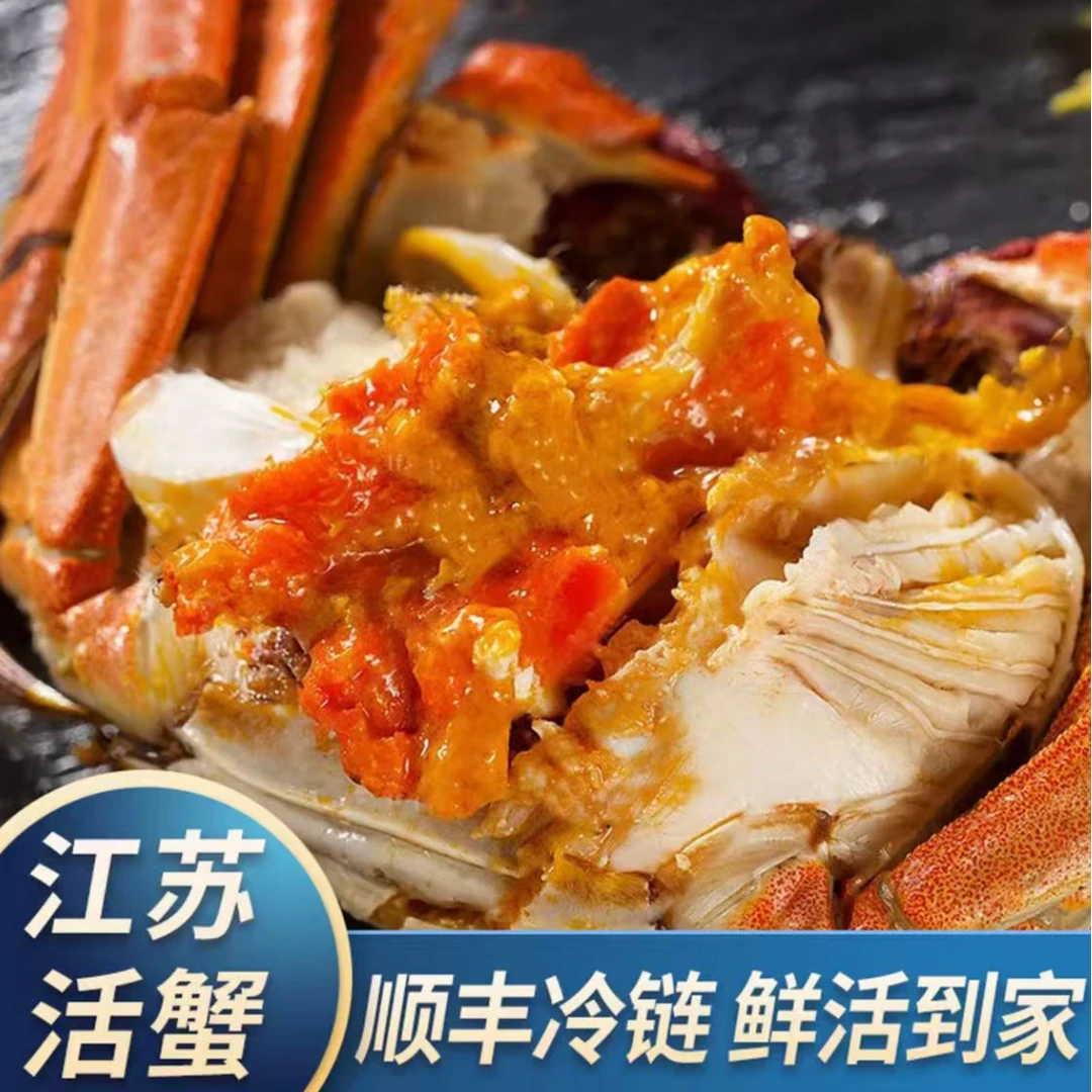 【活蟹现发】鲜活大闸蟹公蟹4.5-4.2两母蟹3.5-3.2两买8只送2只到手10只