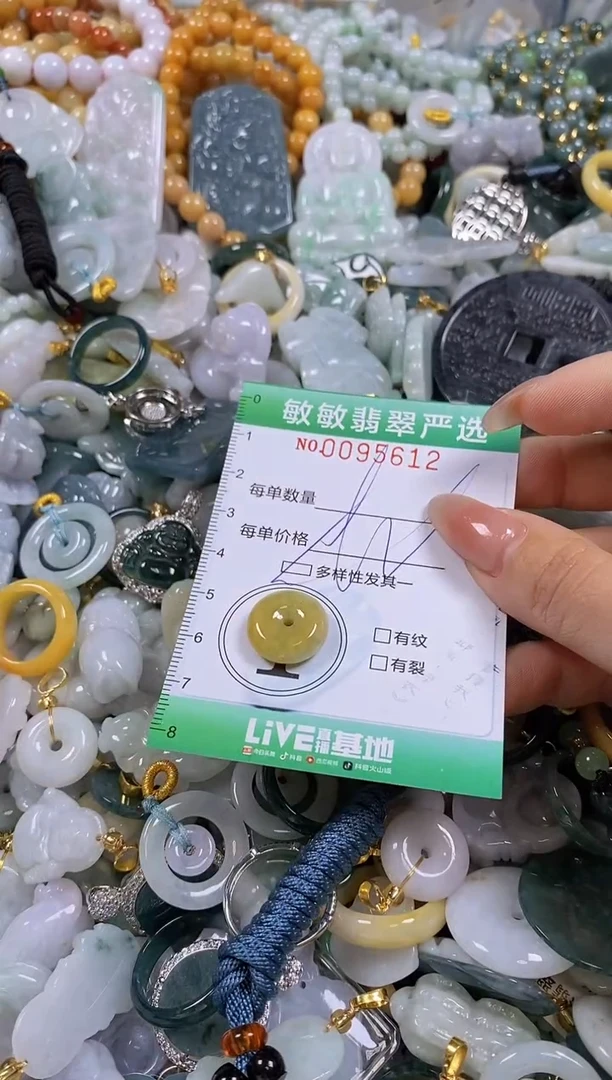 【闪购商品】翡翠颈饰未镶嵌闪购商品0095612多样性发其一