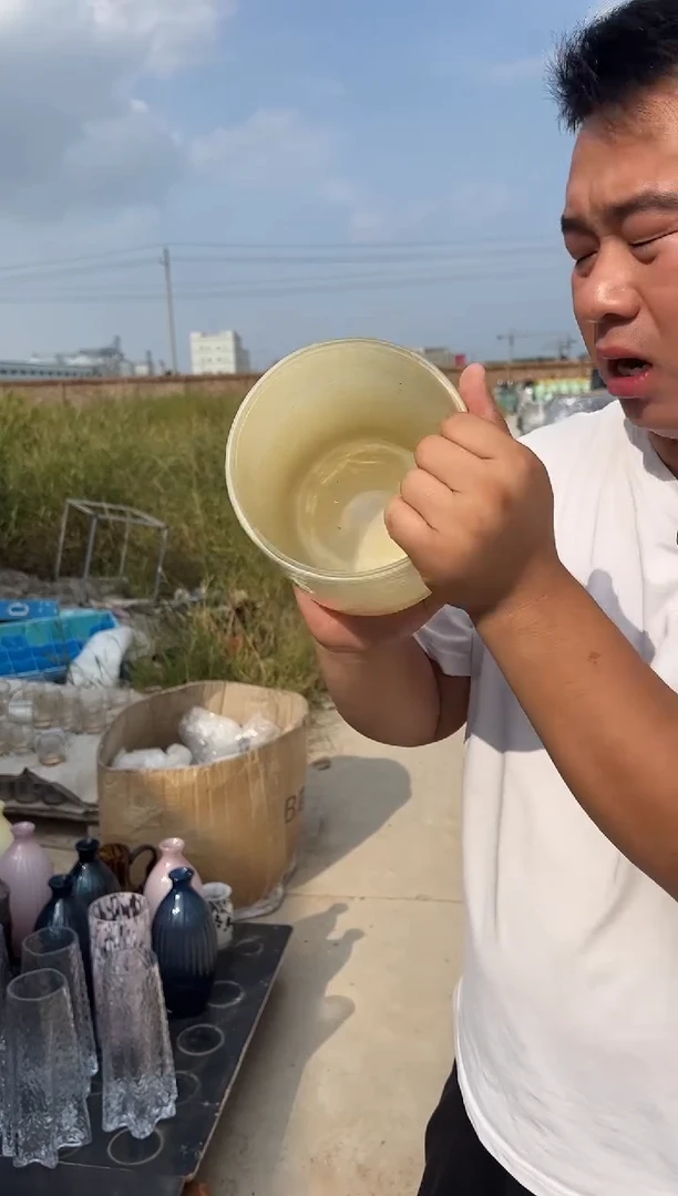 花瓶客厅餐桌插花装饰好物