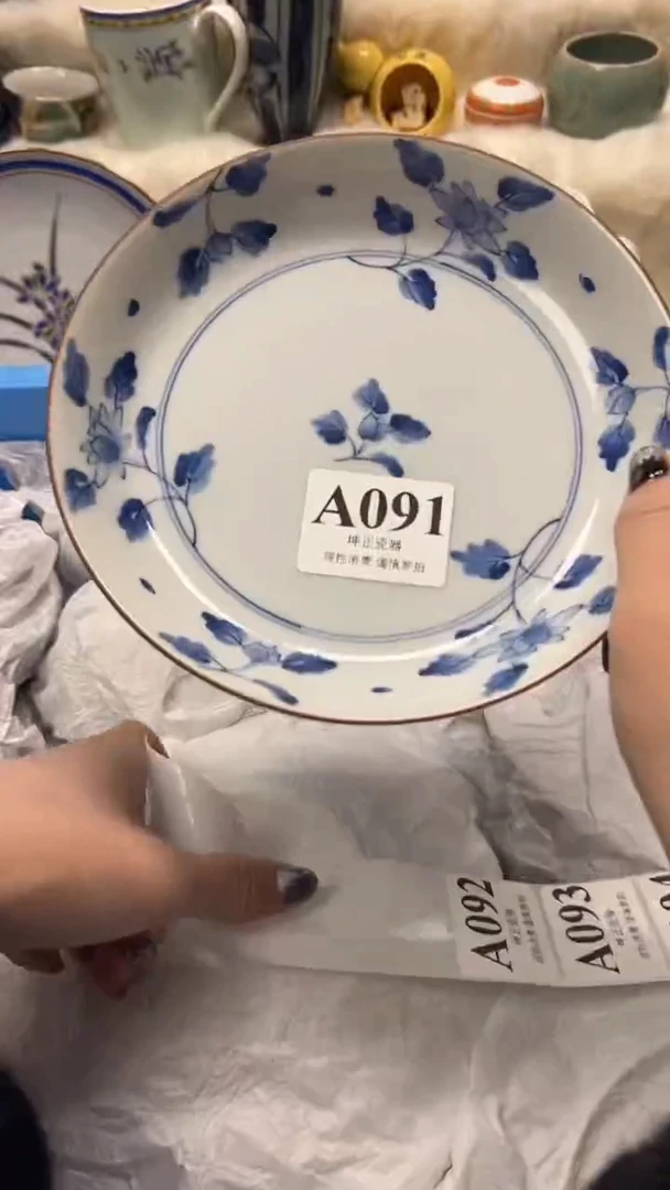 【闪购商品】瓷片          A091