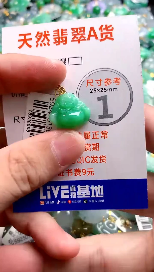 颈饰18K金镶嵌翡翠0801757631