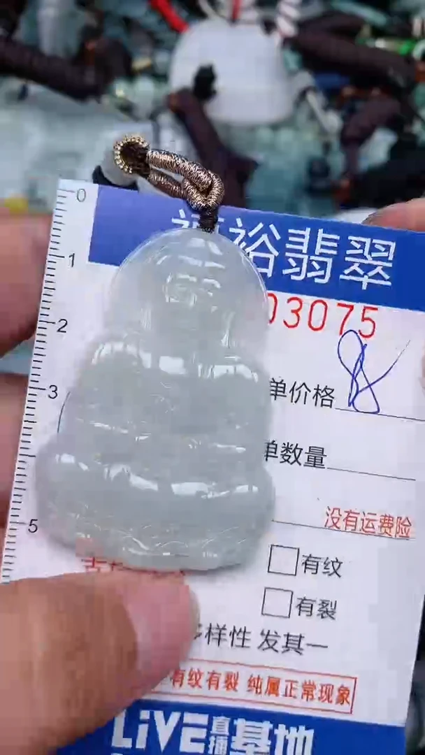 翡翠未镶嵌颈饰...0003075